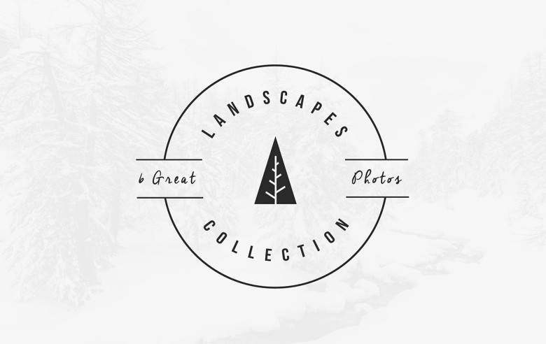 L COLLECTION