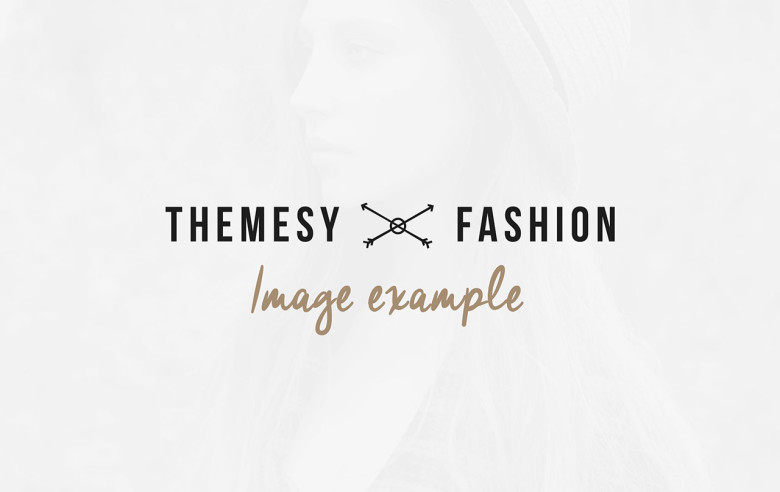 THEMESY FASHION